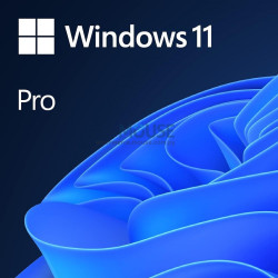 MICROSOFT OEM DVD WINDOWS 11 PRO 64 BIT